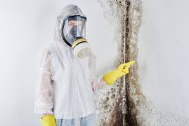 Best Mold Damage Restoration in Beckett, NJ